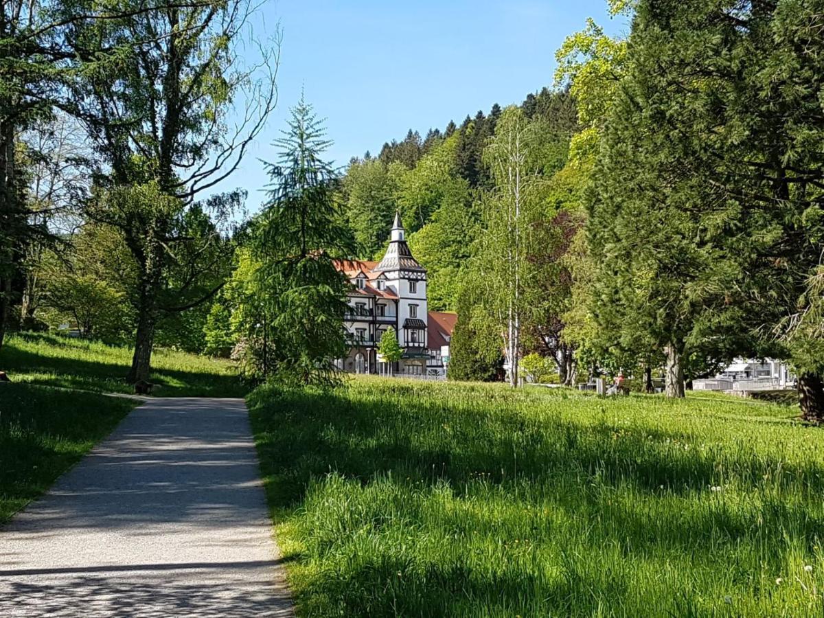 Am Klosterviertel Bad Herrenalb Buitenkant foto