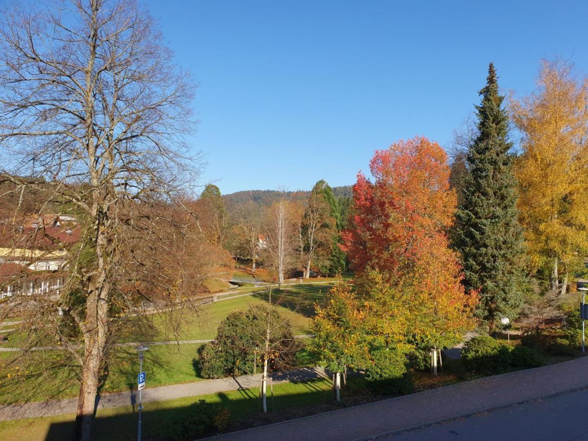 Am Klosterviertel Bad Herrenalb Buitenkant foto