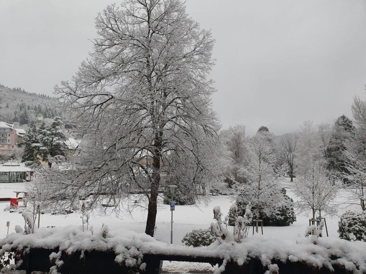 Am Klosterviertel Bad Herrenalb Buitenkant foto