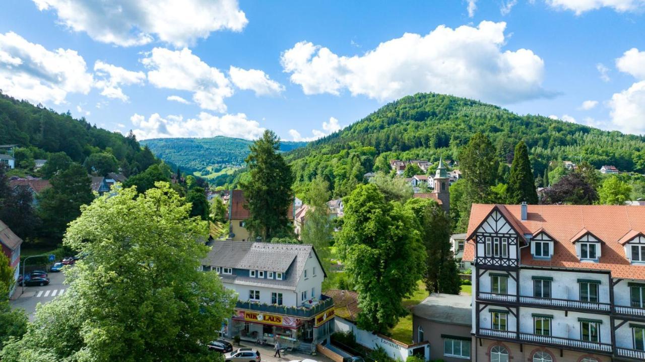 Am Klosterviertel Bad Herrenalb Buitenkant foto