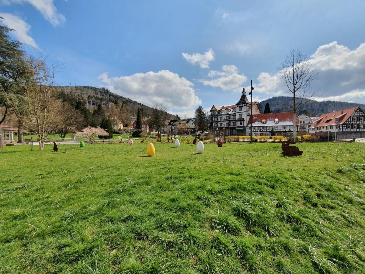 Am Klosterviertel Bad Herrenalb Buitenkant foto